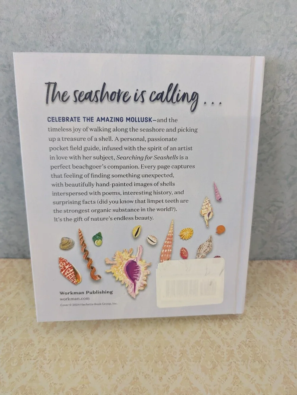 Book On Seashells Searching for Seashells Artist's Guide  Shell Illustrations)